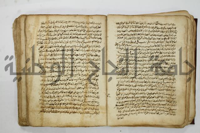 كتاب فتاوى شيخ الإسلام والمسلمين العالم العامل الشيخ محمد الخليلي الشافعي