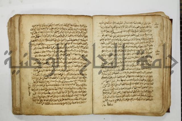 كتاب فتاوى شيخ الإسلام والمسلمين العالم العامل الشيخ محمد الخليلي الشافعي