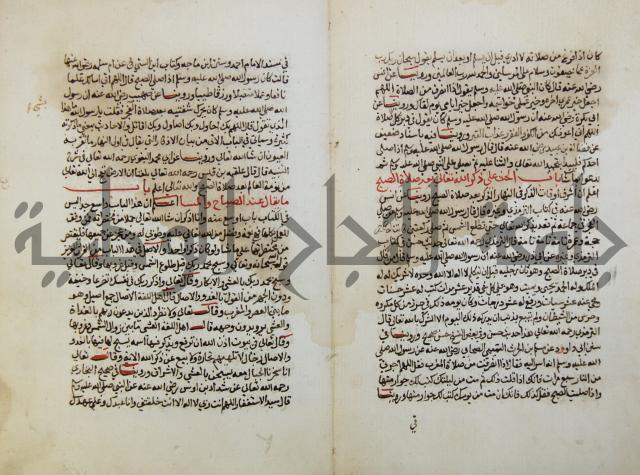 كتاب حلية الابرار وشعار الاخيار في تحقيق الدعوات والاذكار المستحبة في الليل والنهار