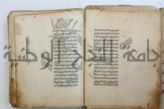 الطريقة المحمدية