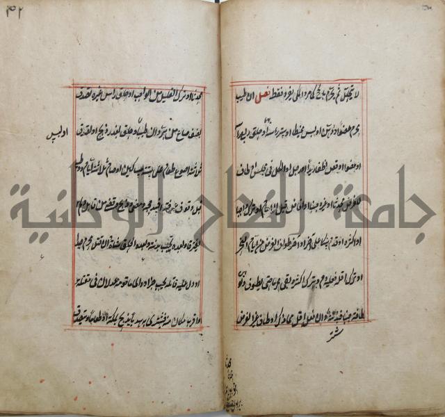 الوقاية الرداتية في مسايل الهداية 