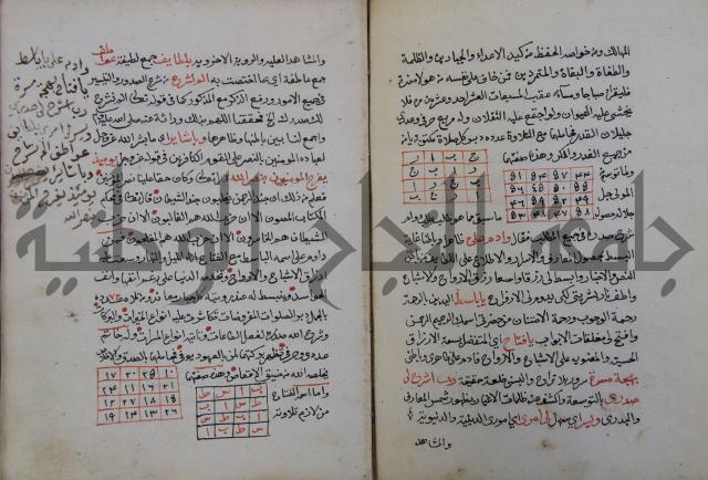 الدر الثمين لشرح الدور الاعلى لسيدي محي الدين