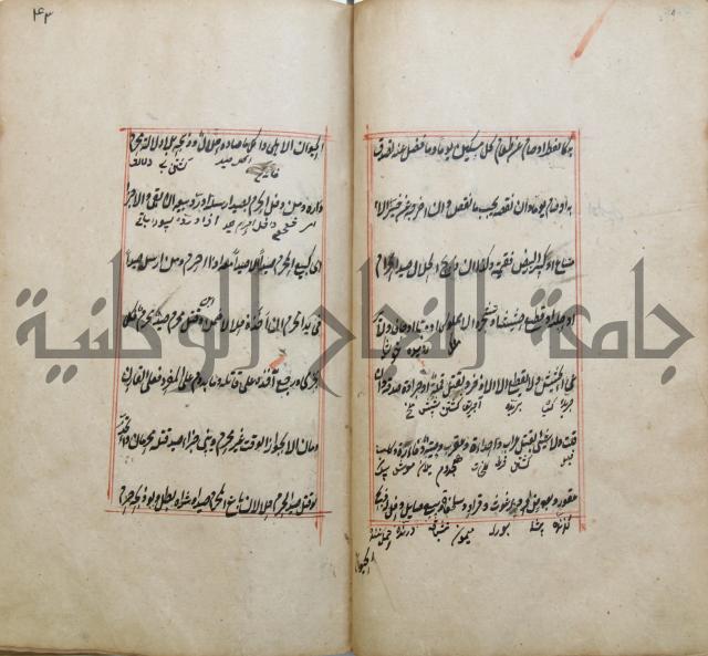 الوقاية الرداتية في مسايل الهداية 