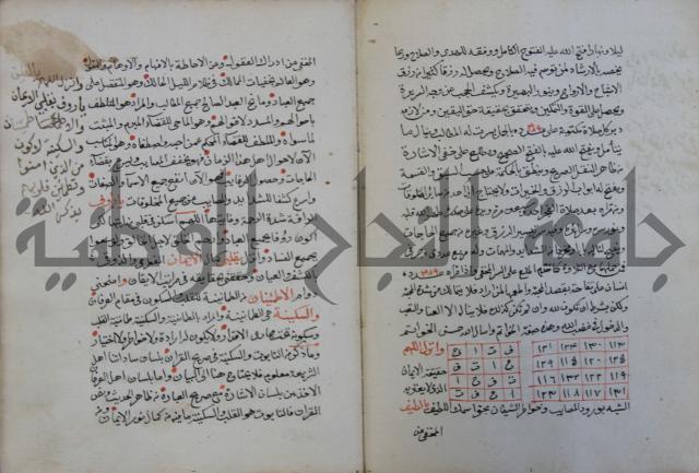 الدر الثمين لشرح الدور الاعلى لسيدي محي الدين