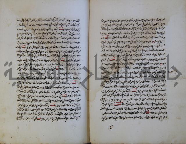 كتاب حلية الابرار وشعار الاخيار في تحقيق الدعوات والاذكار المستحبة في الليل والنهار