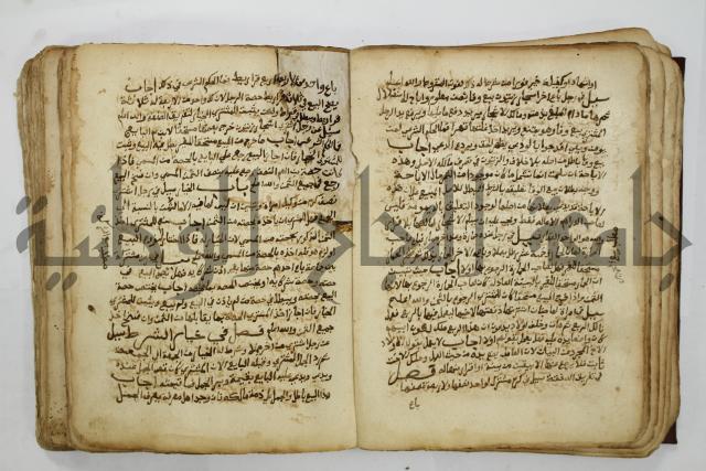 كتاب فتاوى شيخ الإسلام والمسلمين العالم العامل الشيخ محمد الخليلي الشافعي