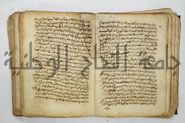 كتاب فتاوى شيخ الإسلام والمسلمين العالم العامل الشيخ محمد الخليلي الشافعي