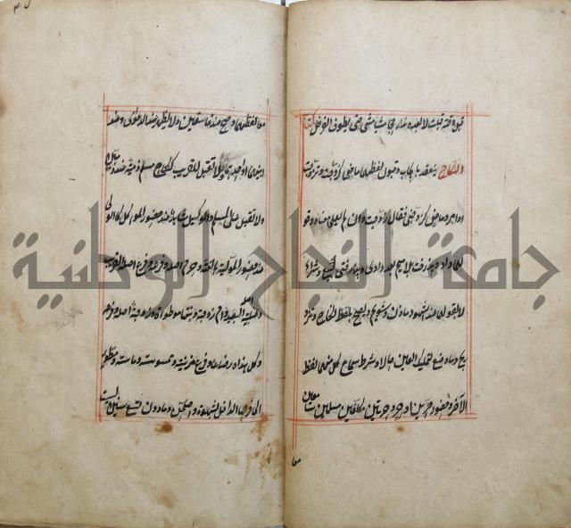 الوقاية الرداتية في مسايل الهداية 