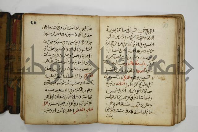 دليل الطالب لنيل المطالب في الفقه على مذهب الامام الاول