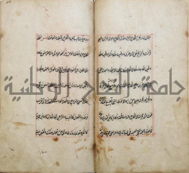 الوقاية الرداتية في مسايل الهداية 