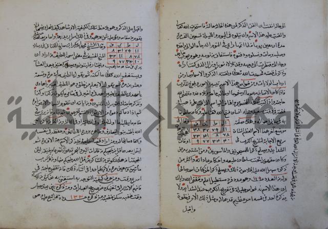 الدر الثمين لشرح الدور الاعلى لسيدي محي الدين