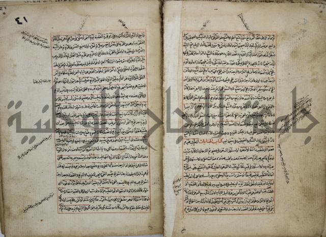 المواضع المعلقة من وقاية الرواية في مسائل الهداية