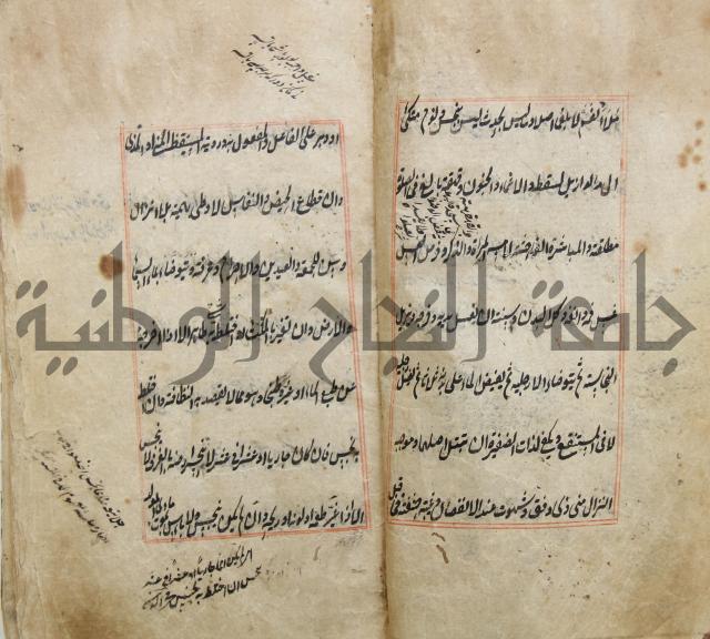 الوقاية الرداتية في مسايل الهداية 