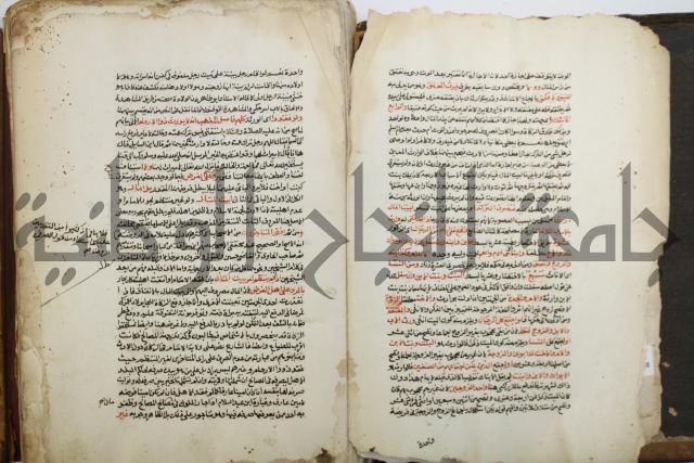 شرح الرملي