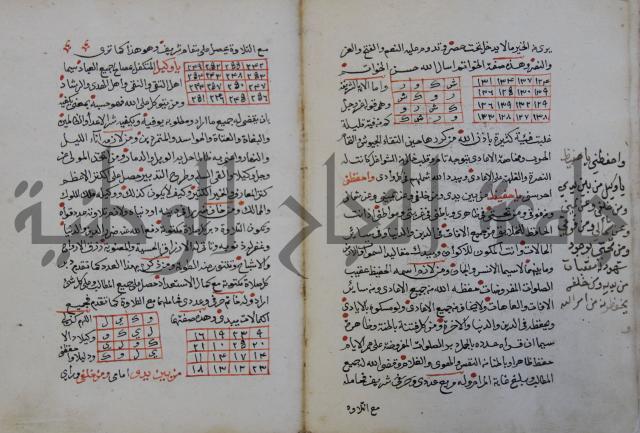 الدر الثمين لشرح الدور الاعلى لسيدي محي الدين