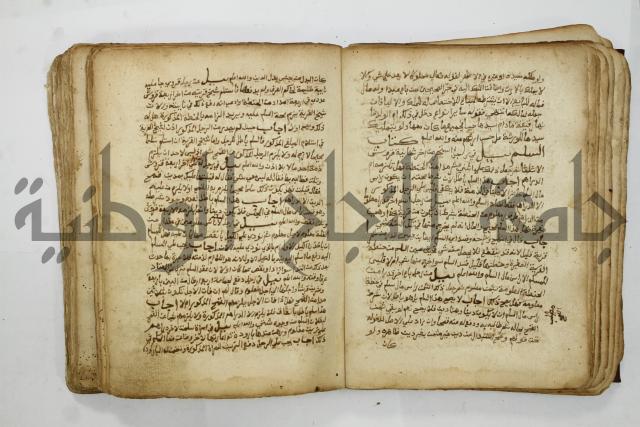 كتاب فتاوى شيخ الإسلام والمسلمين العالم العامل الشيخ محمد الخليلي الشافعي