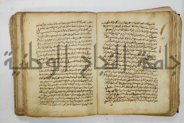 كتاب فتاوى شيخ الإسلام والمسلمين العالم العامل الشيخ محمد الخليلي الشافعي