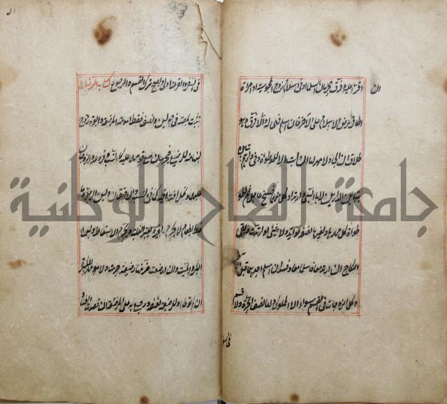 الوقاية الرداتية في مسايل الهداية 