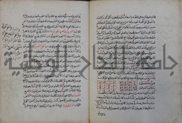 الدر الثمين لشرح الدور الاعلى لسيدي محي الدين