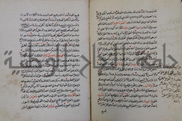 الدر الثمين لشرح الدور الاعلى لسيدي محي الدين