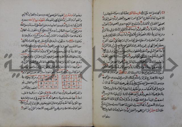 الدر الثمين لشرح الدور الاعلى لسيدي محي الدين