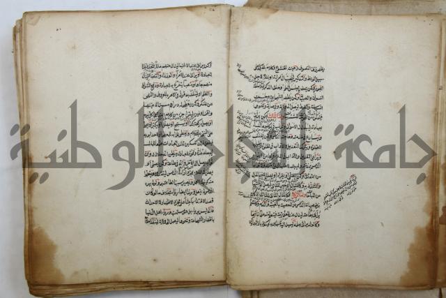 الطريقة المحمدية