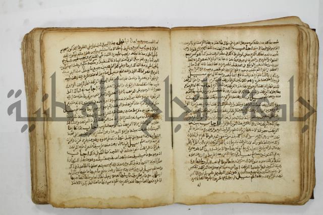 كتاب فتاوى شيخ الإسلام والمسلمين العالم العامل الشيخ محمد الخليلي الشافعي