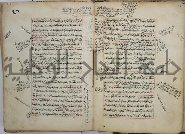 المواضع المعلقة من وقاية الرواية في مسائل الهداية