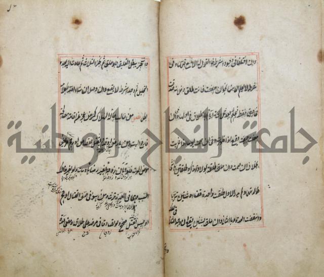 الوقاية الرداتية في مسايل الهداية 