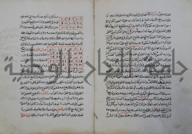 الدر الثمين لشرح الدور الاعلى لسيدي محي الدين