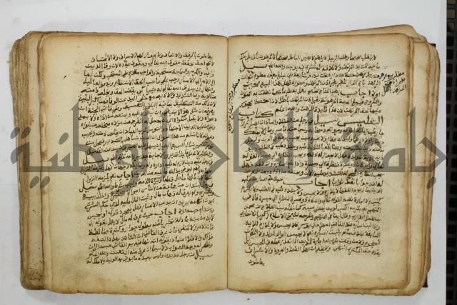 كتاب فتاوى شيخ الإسلام والمسلمين العالم العامل الشيخ محمد الخليلي الشافعي