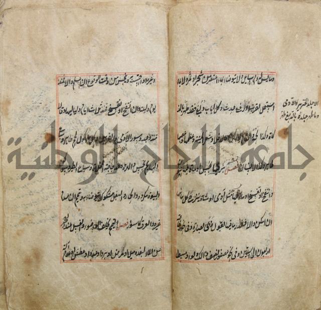 الوقاية الرداتية في مسايل الهداية 