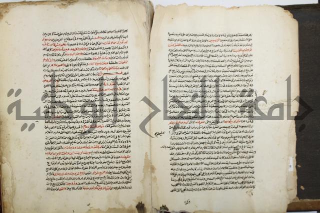 شرح الرملي