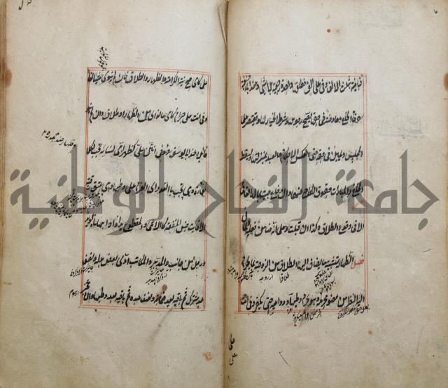 الوقاية الرداتية في مسايل الهداية 