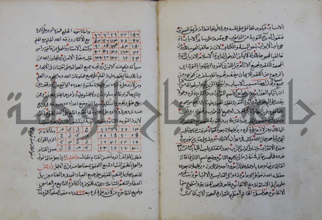 الدر الثمين لشرح الدور الاعلى لسيدي محي الدين