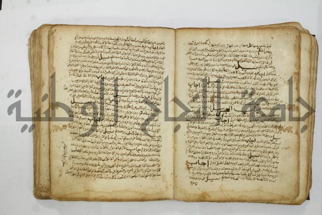 كتاب فتاوى شيخ الإسلام والمسلمين العالم العامل الشيخ محمد الخليلي الشافعي