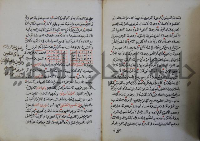 الدر الثمين لشرح الدور الاعلى لسيدي محي الدين