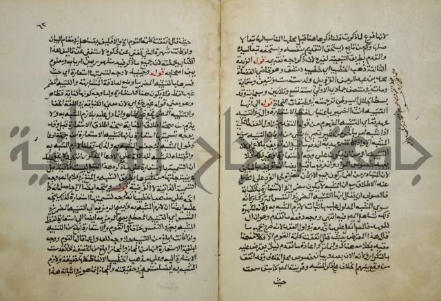 حواشي على عصام الاستعارات