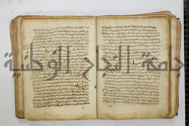 كتاب فتاوى شيخ الإسلام والمسلمين العالم العامل الشيخ محمد الخليلي الشافعي