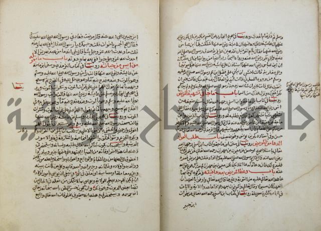 كتاب حلية الابرار وشعار الاخيار في تحقيق الدعوات والاذكار المستحبة في الليل والنهار