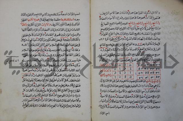 الدر الثمين لشرح الدور الاعلى لسيدي محي الدين