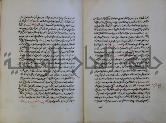 كتاب حلية الابرار وشعار الاخيار في تحقيق الدعوات والاذكار المستحبة في الليل والنهار