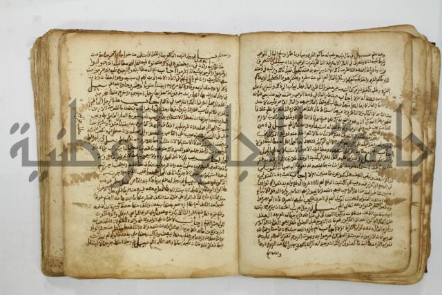 كتاب فتاوى شيخ الإسلام والمسلمين العالم العامل الشيخ محمد الخليلي الشافعي