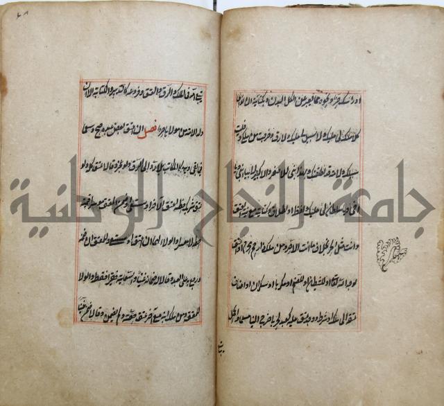 الوقاية الرداتية في مسايل الهداية 