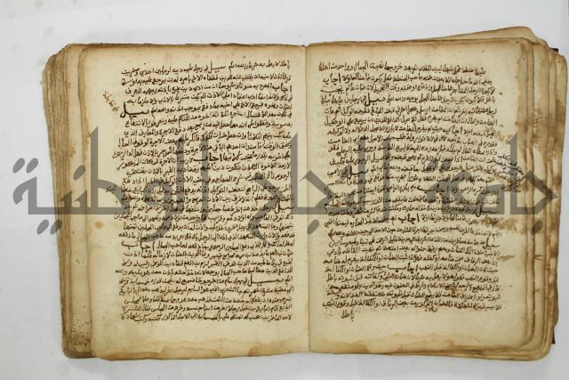 كتاب فتاوى شيخ الإسلام والمسلمين العالم العامل الشيخ محمد الخليلي الشافعي