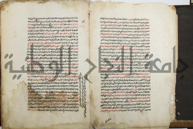 شرح الرملي