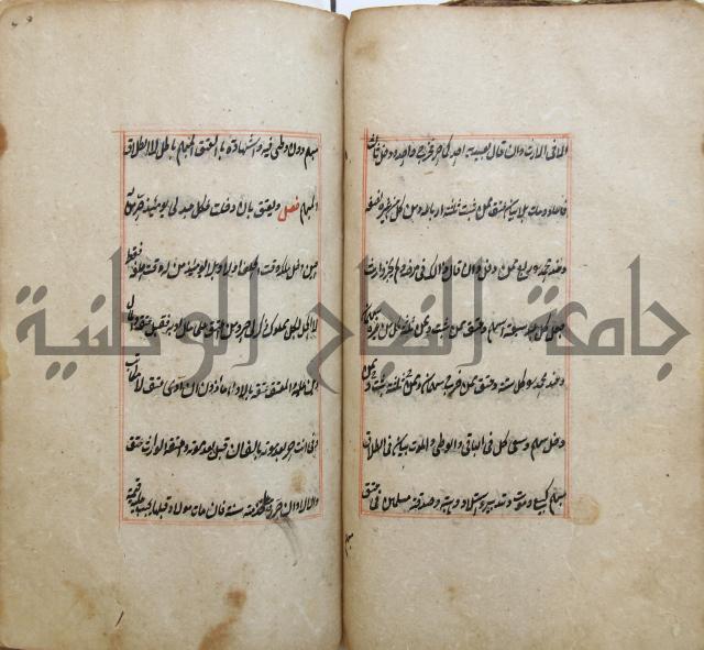 الوقاية الرداتية في مسايل الهداية 