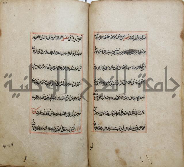 الوقاية الرداتية في مسايل الهداية 