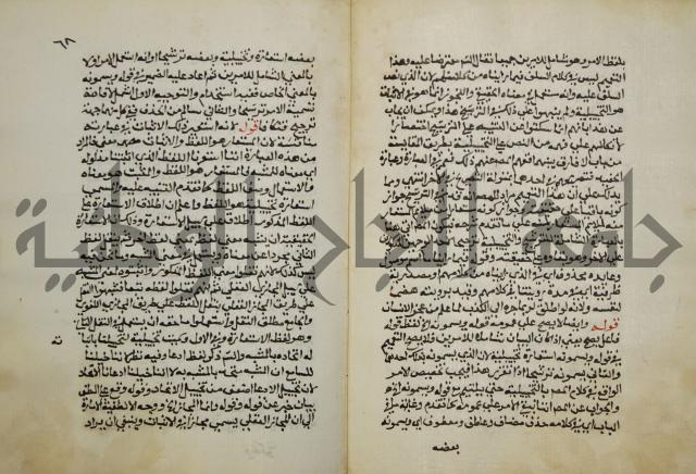 حواشي على عصام الاستعارات