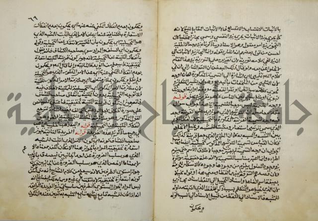 حواشي على عصام الاستعارات